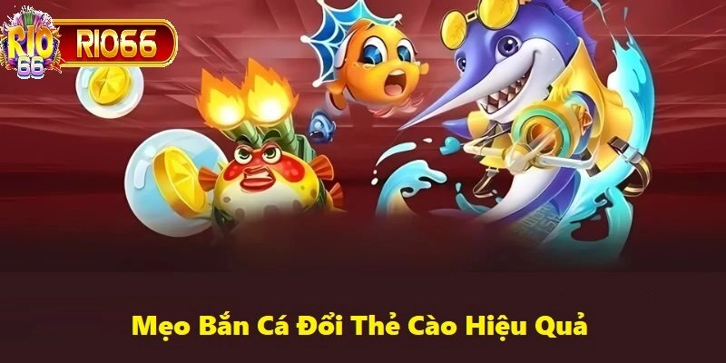 Chọn phòng chơi phù hợp với tài chính để có thể tối ưu lợi nhuận từ trò chơi