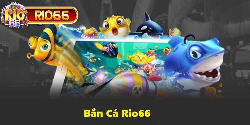 Tham gia và trở thành cao thủ săn cá và giành về nhiều phần thưởng giá trị