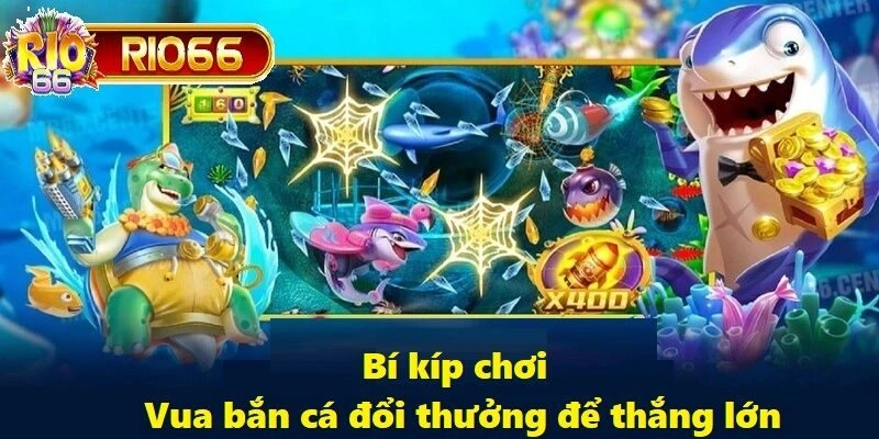 Dừng lại khi cảm thấy đủ là yếu tố quan trọng nhất để tối ưu lợi nhuận
